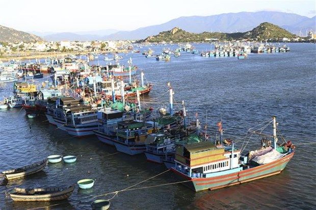 NINH THUAN MARISCO