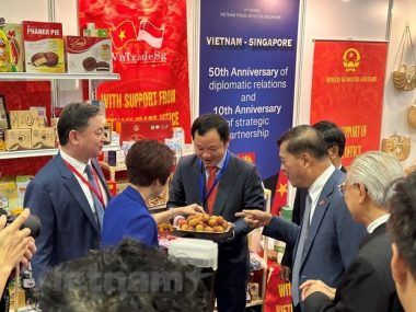 PRODUCTOS VIETNAMITAS