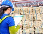 TAILANDIA ARROZ