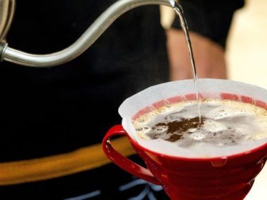 café arábico
