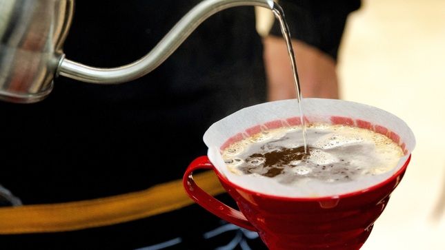 café arábico