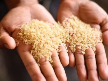ARROZ INDIA