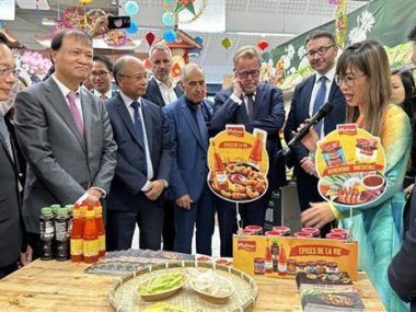 PRODUCTOS VIETNAMITAS