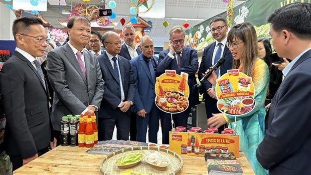 PRODUCTOS VIETNAMITAS