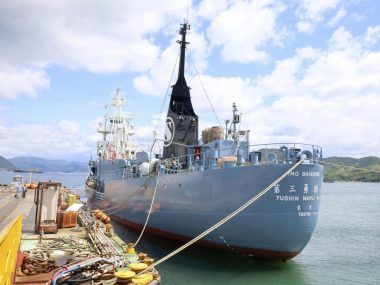 Estados Unidos ballenas
