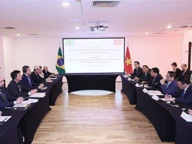 EMPRESAS VIETNAMITAS BRASILEÑAS