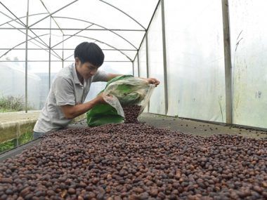 CAFÉ VIETNAM