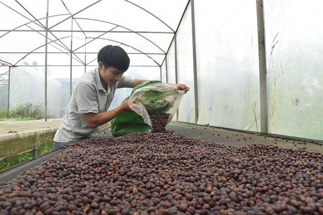 CAFÉ VIETNAM