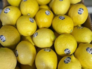 industria limon limón