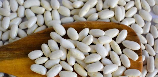 porotos Argentina