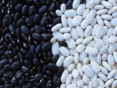 Porotos Paramérica poroto Grupo Ruiz
