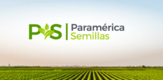 Paramérica