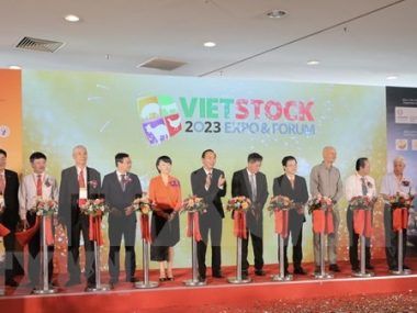 VIETSTOCK