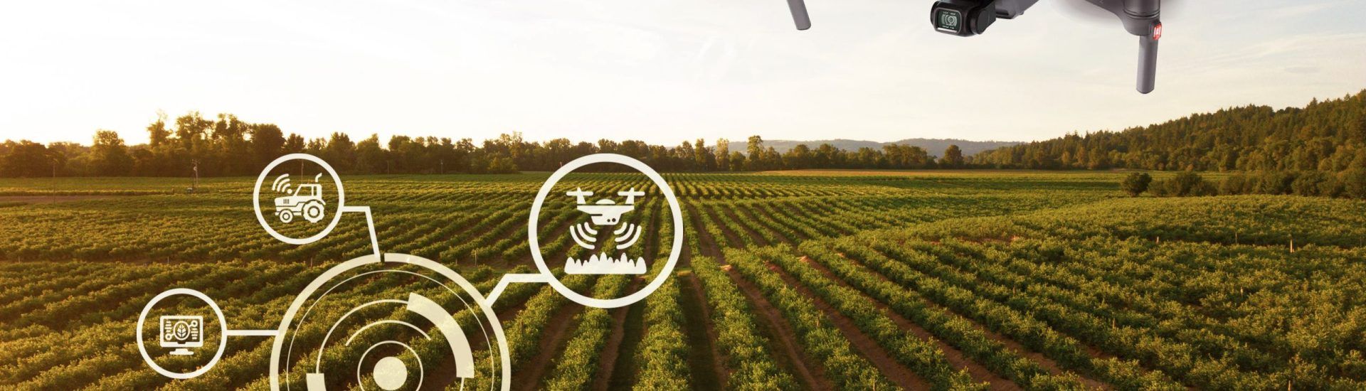 Agricultura 4.0