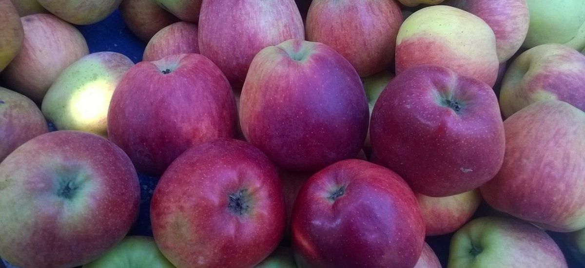 MANZANAS