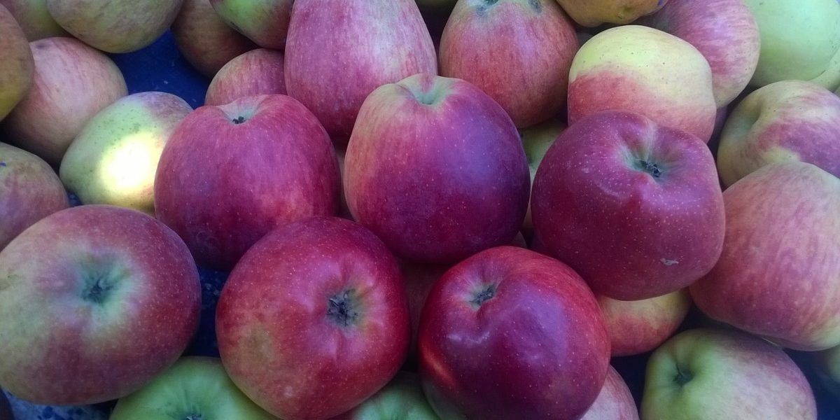 MANZANAS