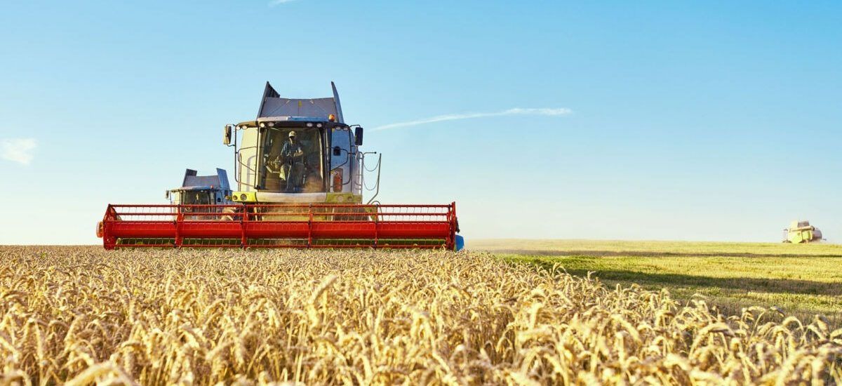 agroindustrial Paramérica SA