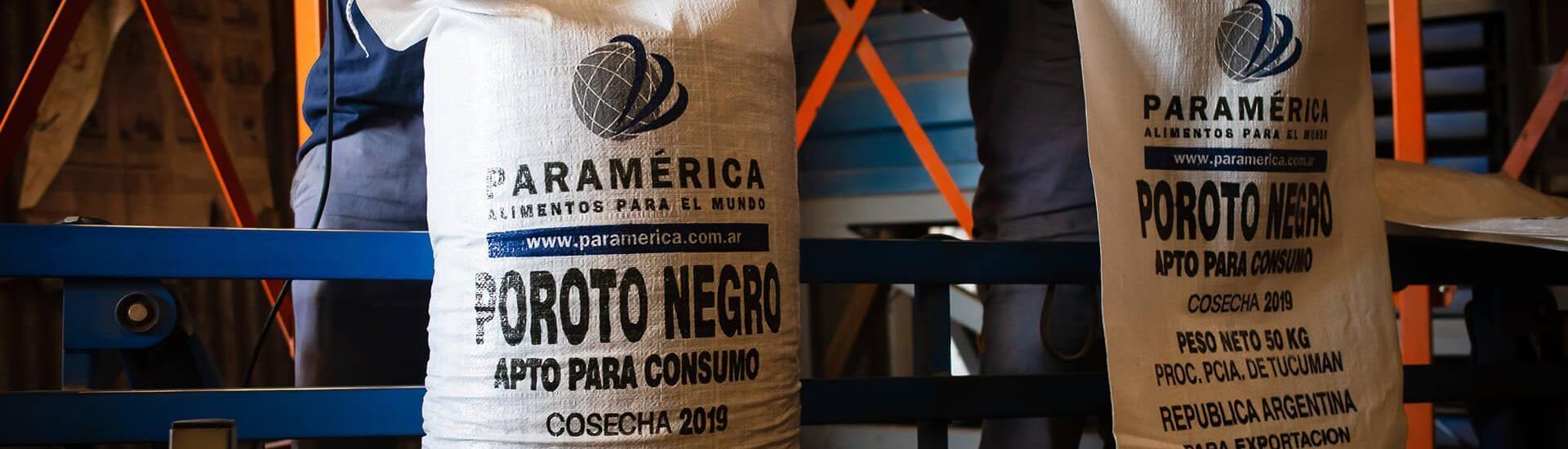Paramérica