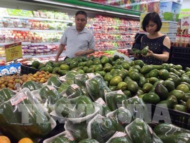 IPC VIETNAM
