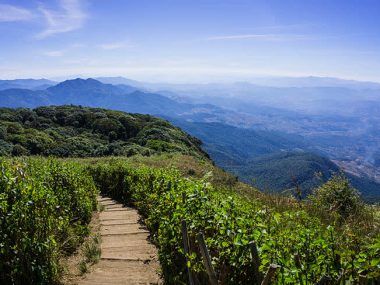 Doi Inthanon