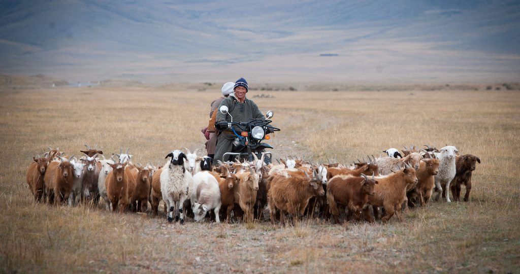 ADB Mongolia