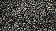 porotos negros