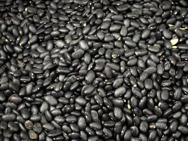 porotos negros
