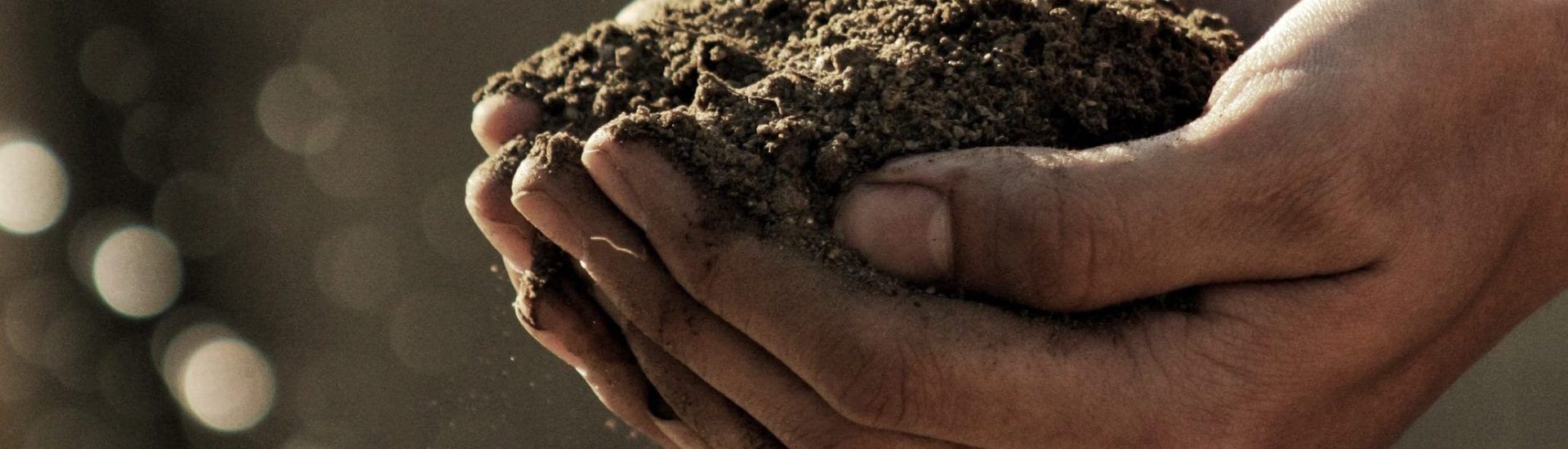Agricultura sostenible