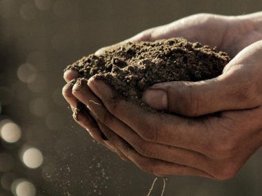Agricultura sostenible