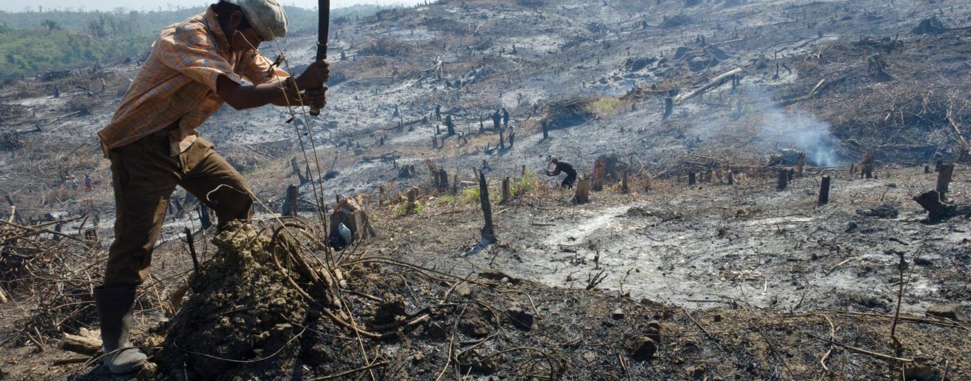 MYANMAR COP28