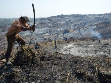 MYANMAR COP28