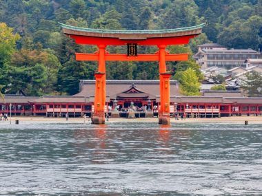 Japan Up Close