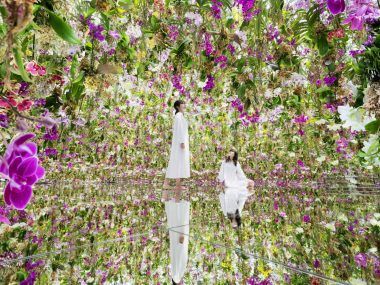 TeamLab Planets