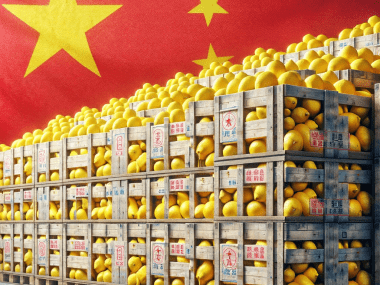 exportación de limones