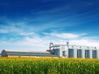 agroindustria argentina