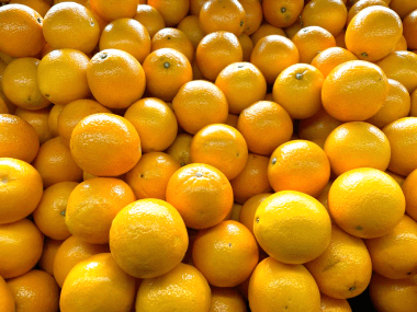 naranjas industria citrícola