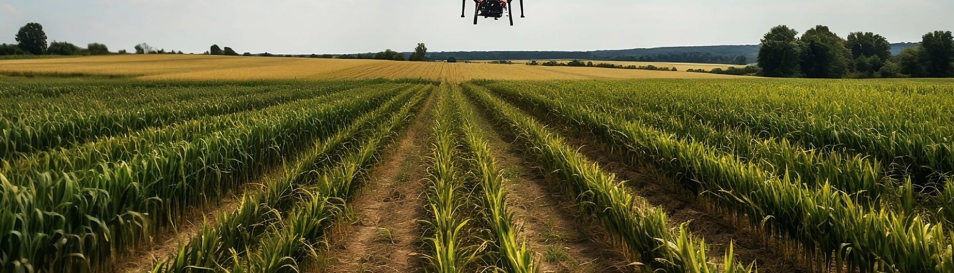 Agricultura