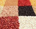 exportación porotos negros
