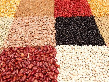 exportación porotos negros