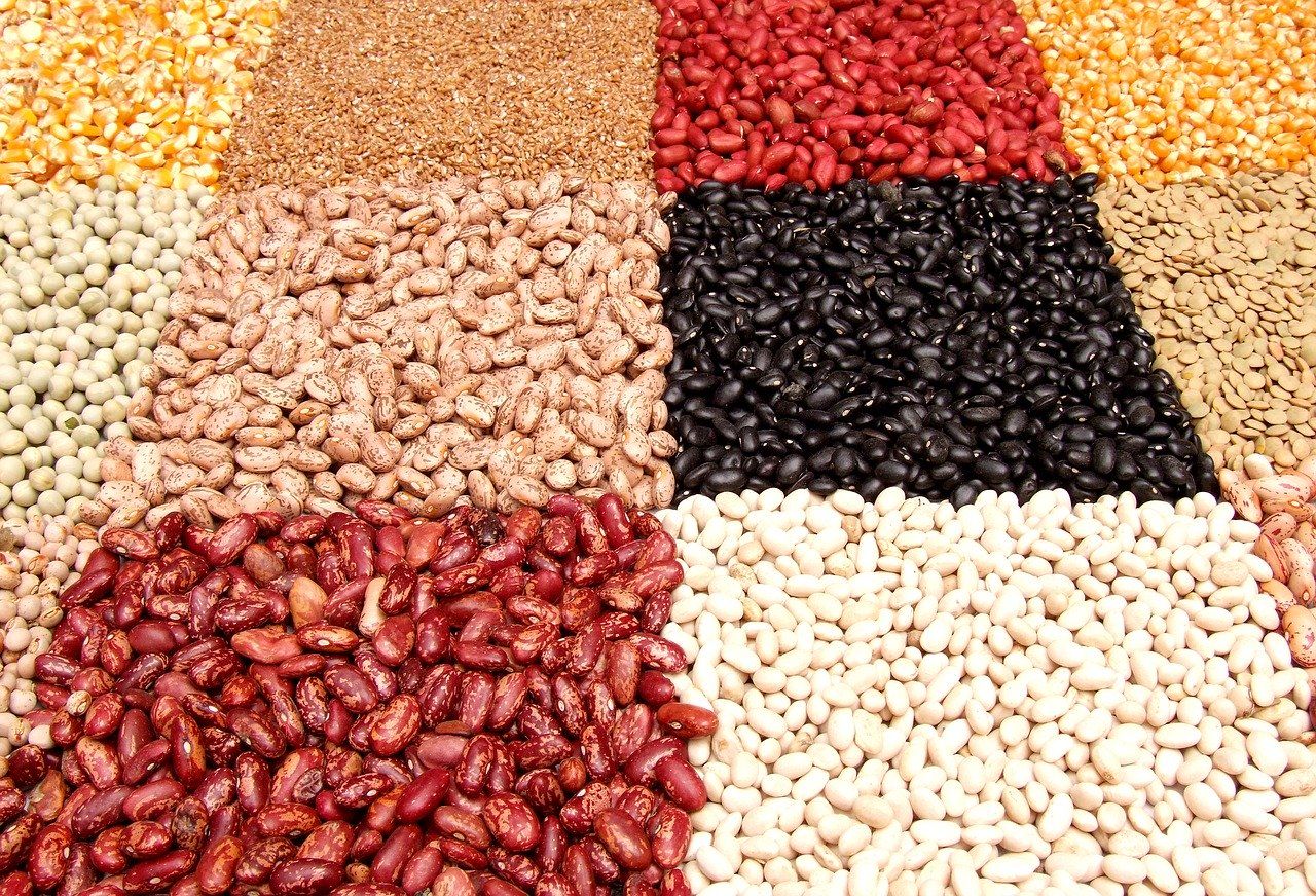 exportación porotos negros