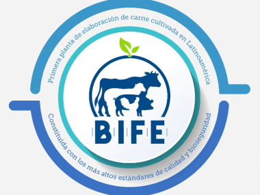 B.I.F.E.