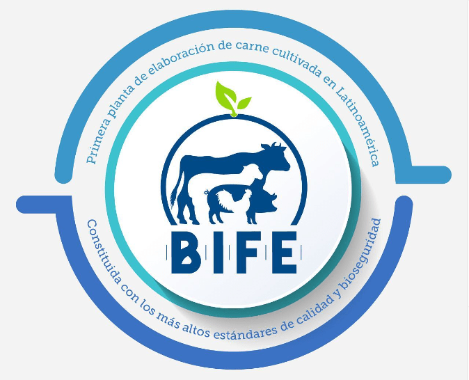 B.I.F.E.