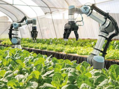 tecnologías agroindustria argentina