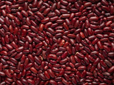Paramérica SA porotos