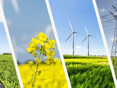 agroindustria