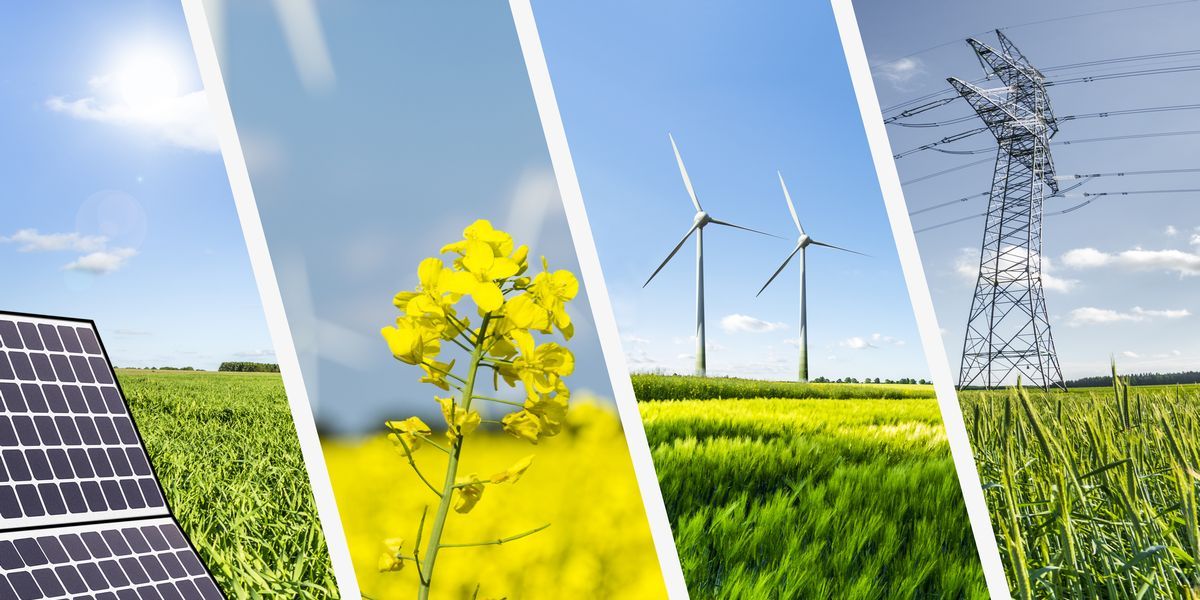 agroindustria
