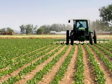 Agropecuario