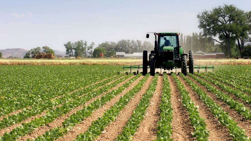 Agropecuario
