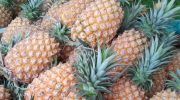 piñas