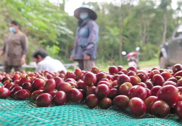 Vietnam